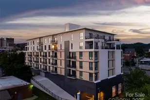 45 Asheland Ave, Asheville, NC 28801 - Photo 40