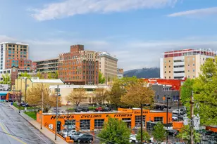 45 Asheland Ave, Asheville, NC 28801 - Photo 36