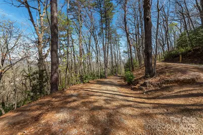 99999 Sunset Drive, Black Mountain, NC 28711 - Photo 2