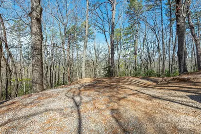 99999 Sunset Drive, Black Mountain, NC 28711 - Photo 10