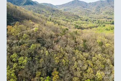 99999 Sunset Drive, Black Mountain, NC 28711 - Photo 48