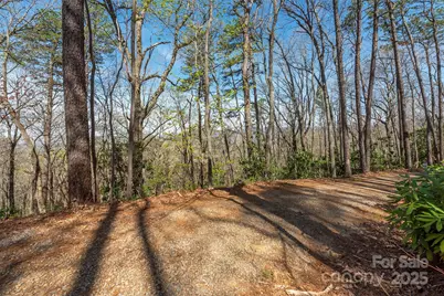 99999 Sunset Drive, Black Mountain, NC 28711 - Photo 12