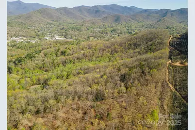 99999 Sunset Drive, Black Mountain, NC 28711 - Photo 22