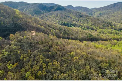 99999 Sunset Drive, Black Mountain, NC 28711 - Photo 30