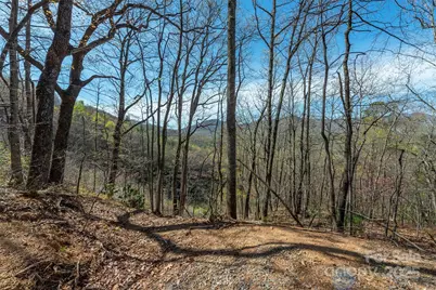 99999 Sunset Drive, Black Mountain, NC 28711 - Photo 8