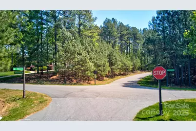 111 Cinder Ridge Court, Troutman, NC 28166 - Photo 8