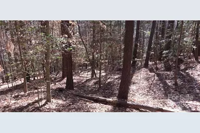 208 Ridge Top Drive, Connelly Springs, NC 28612 - Photo 6