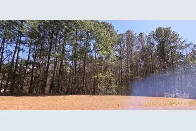 210 Ridge Top Drive, Connelly Springs, NC 28612 - Photo 2