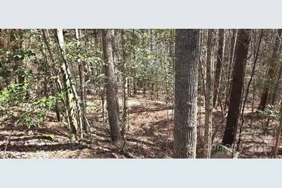 210 Ridge Top Drive, Connelly Springs, NC 28612 - Photo 6