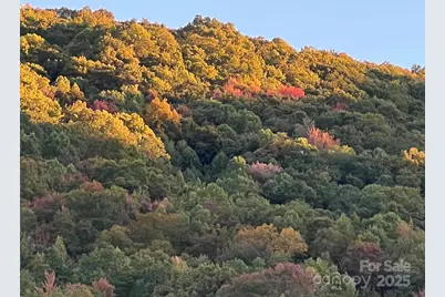 7042 Yellow Creek Road, Robbinsville, NC 28771 - Photo 14