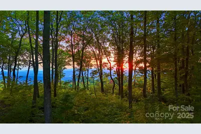 0 Mountain Grove Lane #Lot 68, Fletcher, NC 28732 - Photo 2