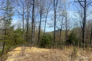 32 Wild Iris Rd, Brevard, NC 28712 - Photo 1