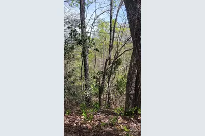 25 Lacy Fern Ridge #25, Sylva, NC 28779 - Photo 22