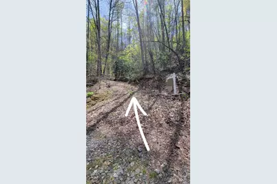 25 Lacy Fern Ridge #25, Sylva, NC 28779 - Photo 2