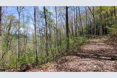 25 Lacy Fern Ridge #25, Sylva, NC 28779 - Photo 12