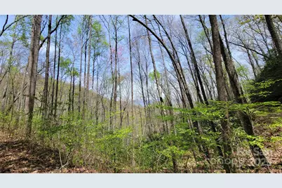 27 Lacy Fern Ridge #27, Sylva, NC 28779 - Photo 14