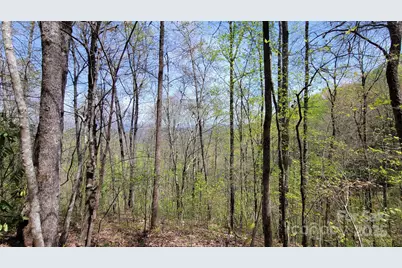 27 Lacy Fern Ridge #27, Sylva, NC 28779 - Photo 8