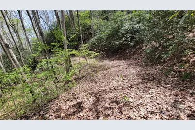 27 Lacy Fern Ridge #27, Sylva, NC 28779 - Photo 12