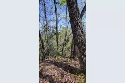 28 Lacy Fern Ridge #28, Sylva, NC 28779 - Photo 16