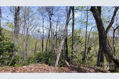 28 Lacy Fern Ridge #28, Sylva, NC 28779 - Photo 20