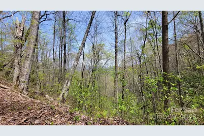 28 Lacy Fern Ridge #28, Sylva, NC 28779 - Photo 8