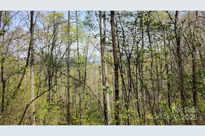 28 Lacy Fern Ridge #28, Sylva, NC 28779 - Photo 10