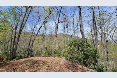 28 Lacy Fern Ridge #28, Sylva, NC 28779 - Photo 18