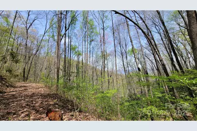 28 Lacy Fern Ridge #28, Sylva, NC 28779 - Photo 14