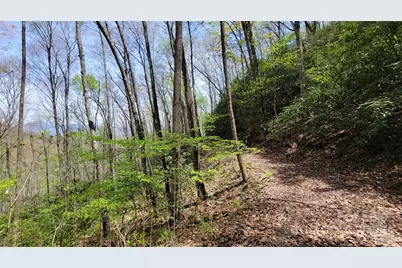 29 Lacy Fern Ridge #29, Sylva, NC 28779 - Photo 14