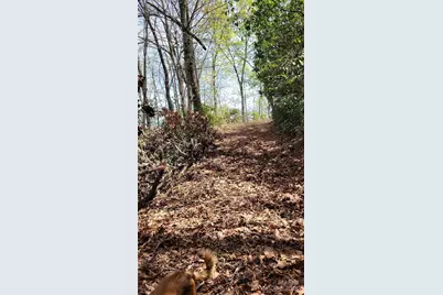 29 Lacy Fern Ridge #29, Sylva, NC 28779 - Photo 22