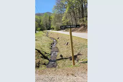 29 Lacy Fern Ridge #29, Sylva, NC 28779 - Photo 1