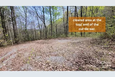 29 Lacy Fern Ridge #29, Sylva, NC 28779 - Photo 4