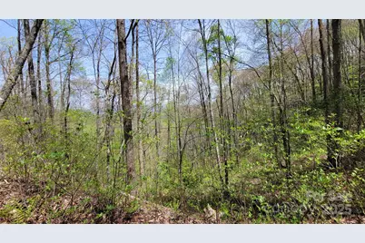 29 Lacy Fern Ridge #29, Sylva, NC 28779 - Photo 10