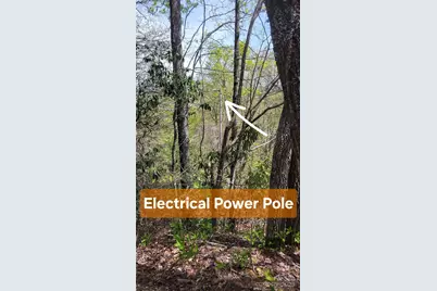 29 Lacy Fern Ridge #29, Sylva, NC 28779 - Photo 18