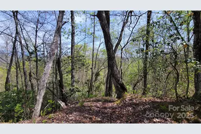 31 Lacy Fern Ridge #31, Sylva, NC 28779 - Photo 18