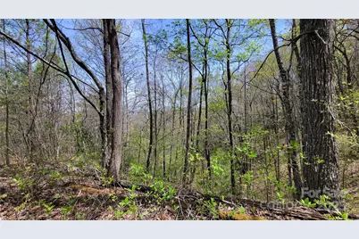 31 Lacy Fern Ridge #31, Sylva, NC 28779 - Photo 6