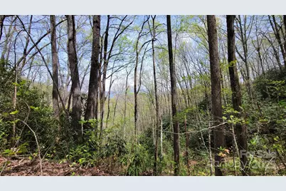 31 Lacy Fern Ridge #31, Sylva, NC 28779 - Photo 16