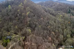 40 Acres Charity Ln, Burnsville, NC 28714 - Photo 4