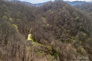 40 Acres Charity Ln, Burnsville, NC 28714 - Photo 8