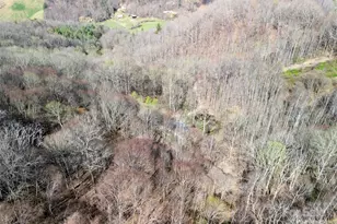 40 Acres Charity Ln, Burnsville, NC 28714 - Photo 6