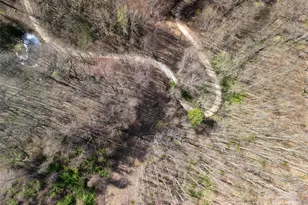 40 Acres Charity Ln, Burnsville, NC 28714 - Photo 2