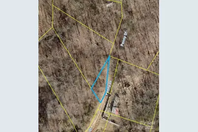 000 Penny Drive, Statesville, NC 28625 - Photo 2