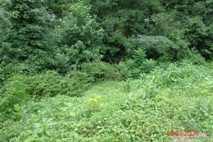 53 Forest Ave, Granite Falls, NC 28630 - Photo 32