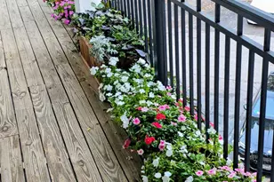 17810 Half Moon Ln, Cornelius, NC 28031 - Photo 6