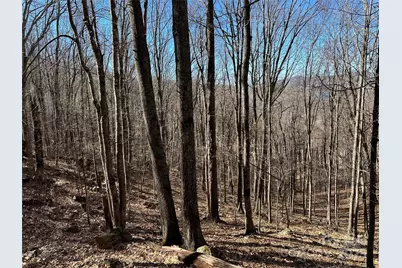 000 Finlaystone Trace #26, Waynesville, NC 28786 - Photo 4