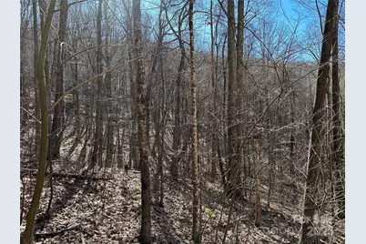 000 Finlaystone Trace #26, Waynesville, NC 28786 - Photo 2