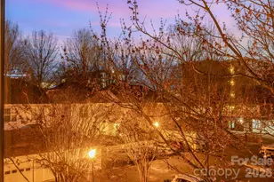 1115 Greenleaf Ave, Charlotte, NC 28202 - Photo 44