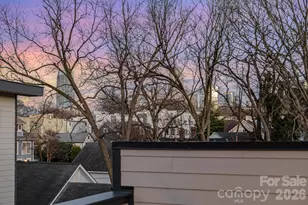 1115 Greenleaf Ave, Charlotte, NC 28202 - Photo 42