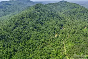 980 Mountain Forest Dr, Union Mills, NC 28167 - Photo 40