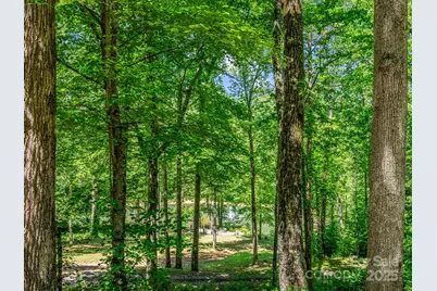 980 Mountain Forest Drive, Union Mills, NC 28167 - Photo 36